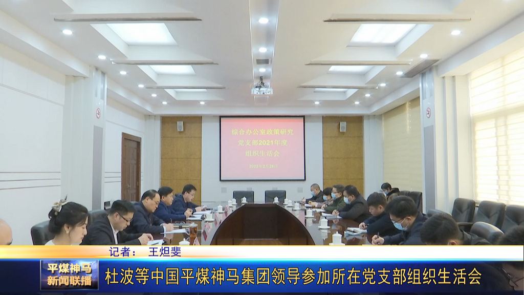 杜波等中國(guó)平煤神馬集團(tuán)領(lǐng)導(dǎo)參加所在黨支部[00_00_41][20220302-175622].png