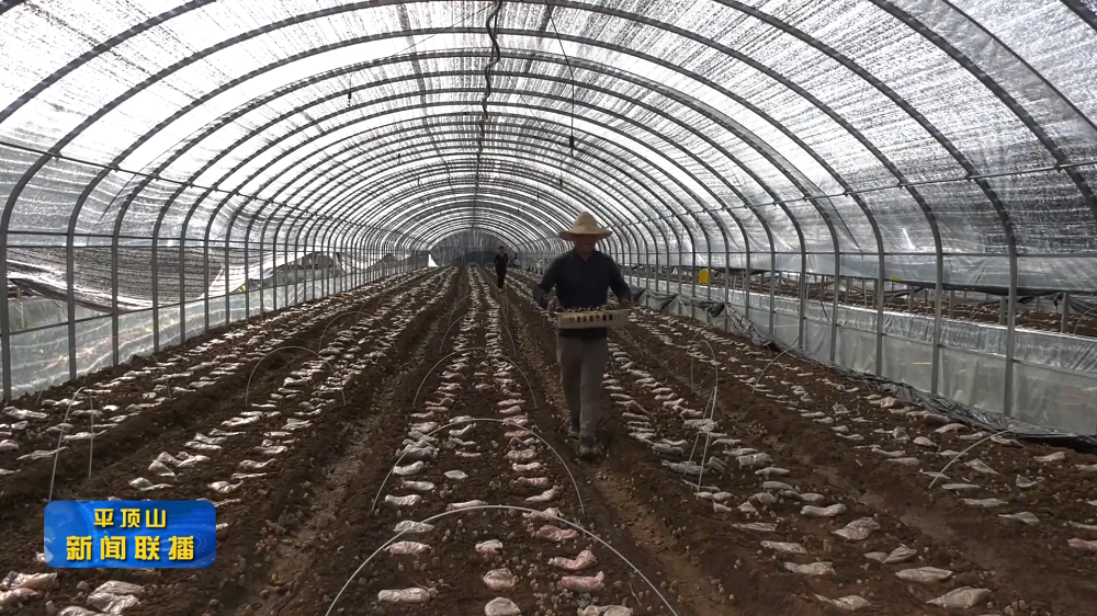 圖片2.png 圖片2.png