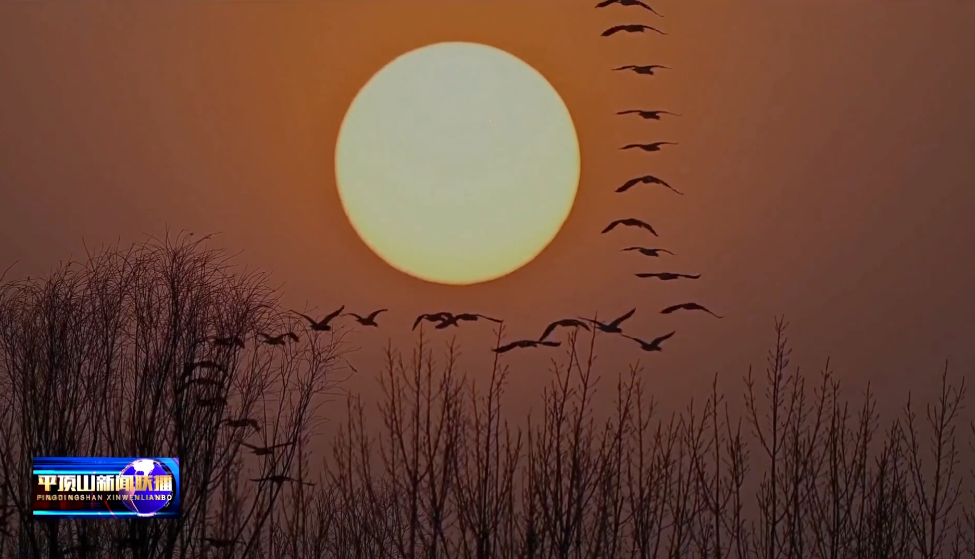 ScreenShot_2026-02-10_154919_823.png ScreenShot_2026-02-10_154919_823.png